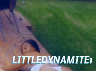 LITTLEDYNAMITE1