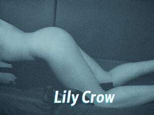 Lily_Crow
