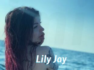 Lily_Jay