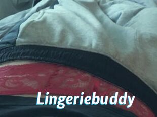 Lingeriebuddy