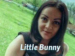 Little_Bunny_