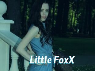 Little_FoxX
