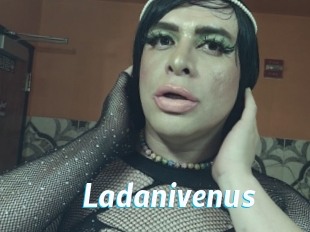 Ladanivenus