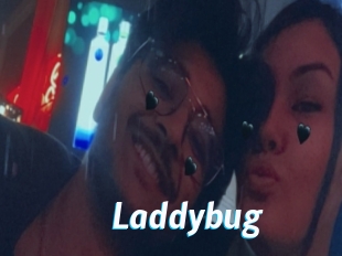Laddybug