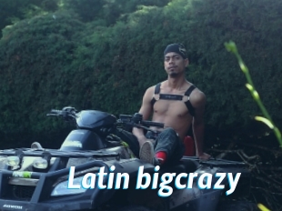 Latin_bigcrazy