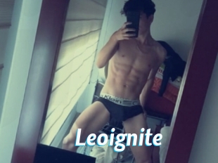 Leoignite