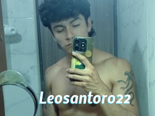 Leosantoro22