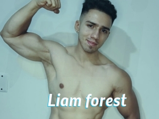 Liam_forest
