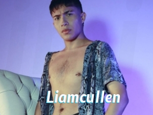 Liamcullen