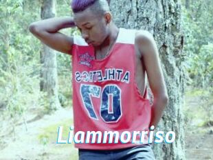Liammorriso