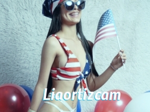 Liaortizcam