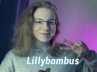 Lillybambus