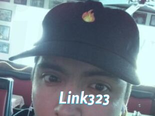 Link323