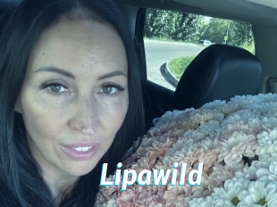 lipawild J Mine