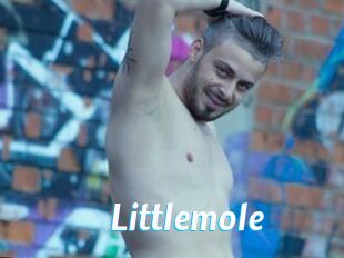 Littlemole