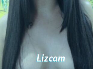 Lizcam