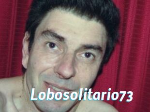 Lobosolitario73