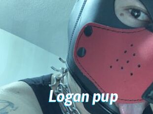 Logan_pup