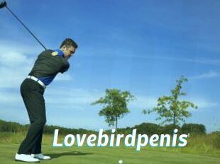 Lovebirdpenis