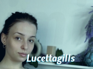 Lucettagills