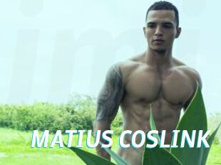 MATIUS_COSLINK