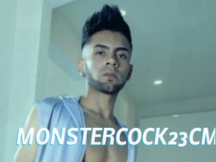 MONSTERCOCK23CM