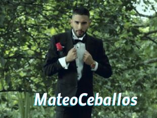 MateoCeballos