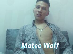 Mateo_Wolf