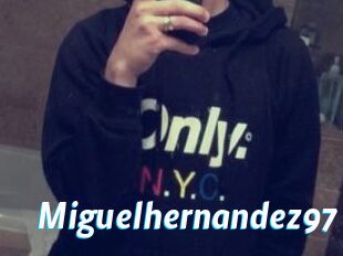 Miguel_hernandez97