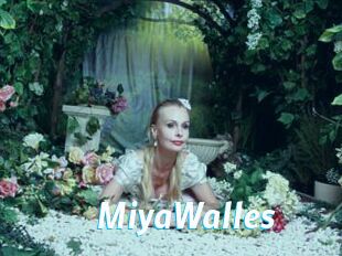 MiyaWalles