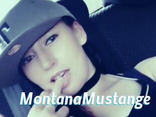 MontanaMustange
