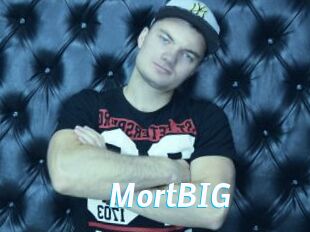 MortBIG