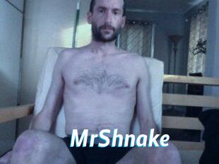 MrShnake
