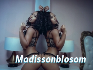 Madissonblosom