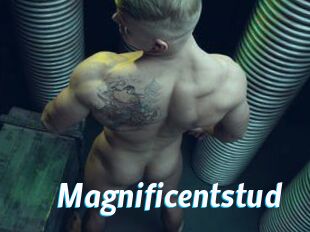 magnificentstud J Mine