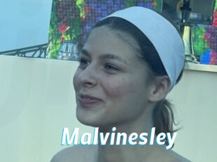 Malvinesley