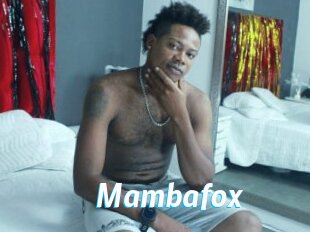 Mambafox