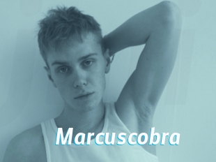 marcuscobra J Mine