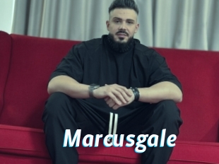 marcusgale J Mine