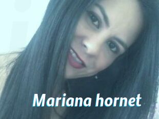 Mariana_hornet