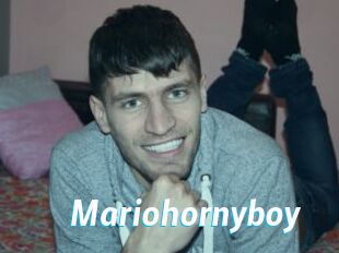 Mariohornyboy