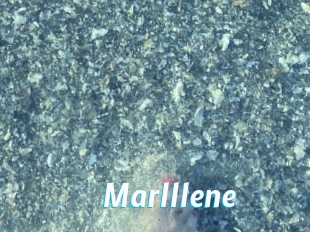 Marlllene