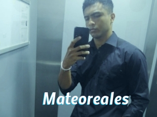 mateoreales J Mine