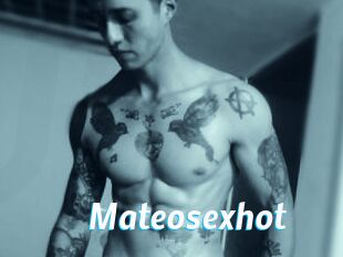 Mateosexhot