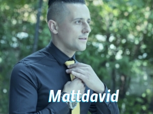 mattdavid J Mine