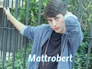 Mattrobert