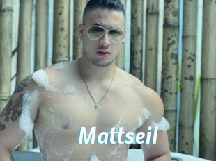 Mattseil