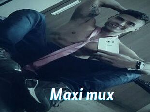 Maxi_mux