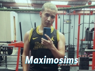Maximosims