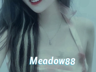 Meadow88
